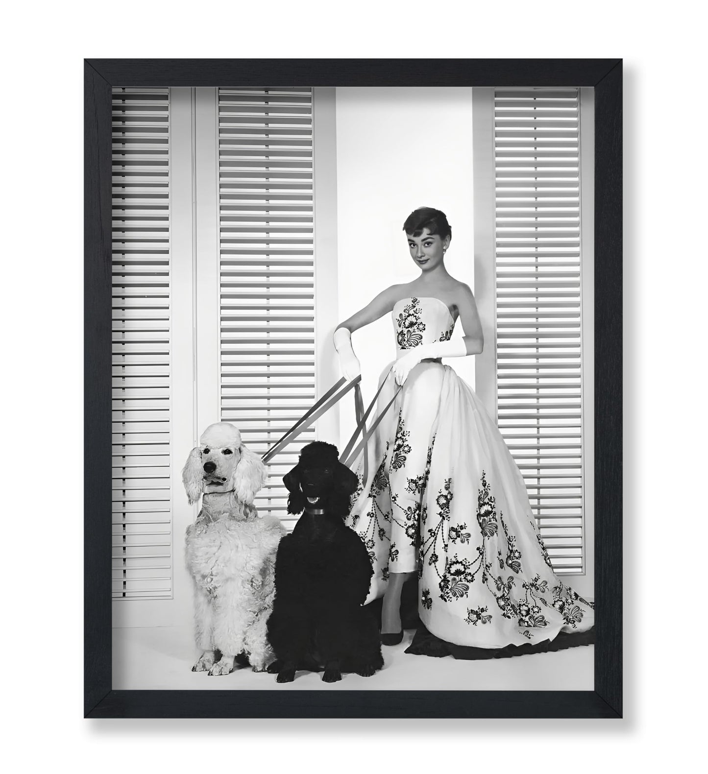 Audrey With Poodles