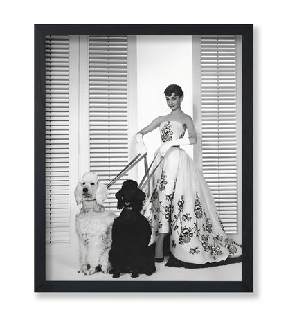 Audrey With Poodles