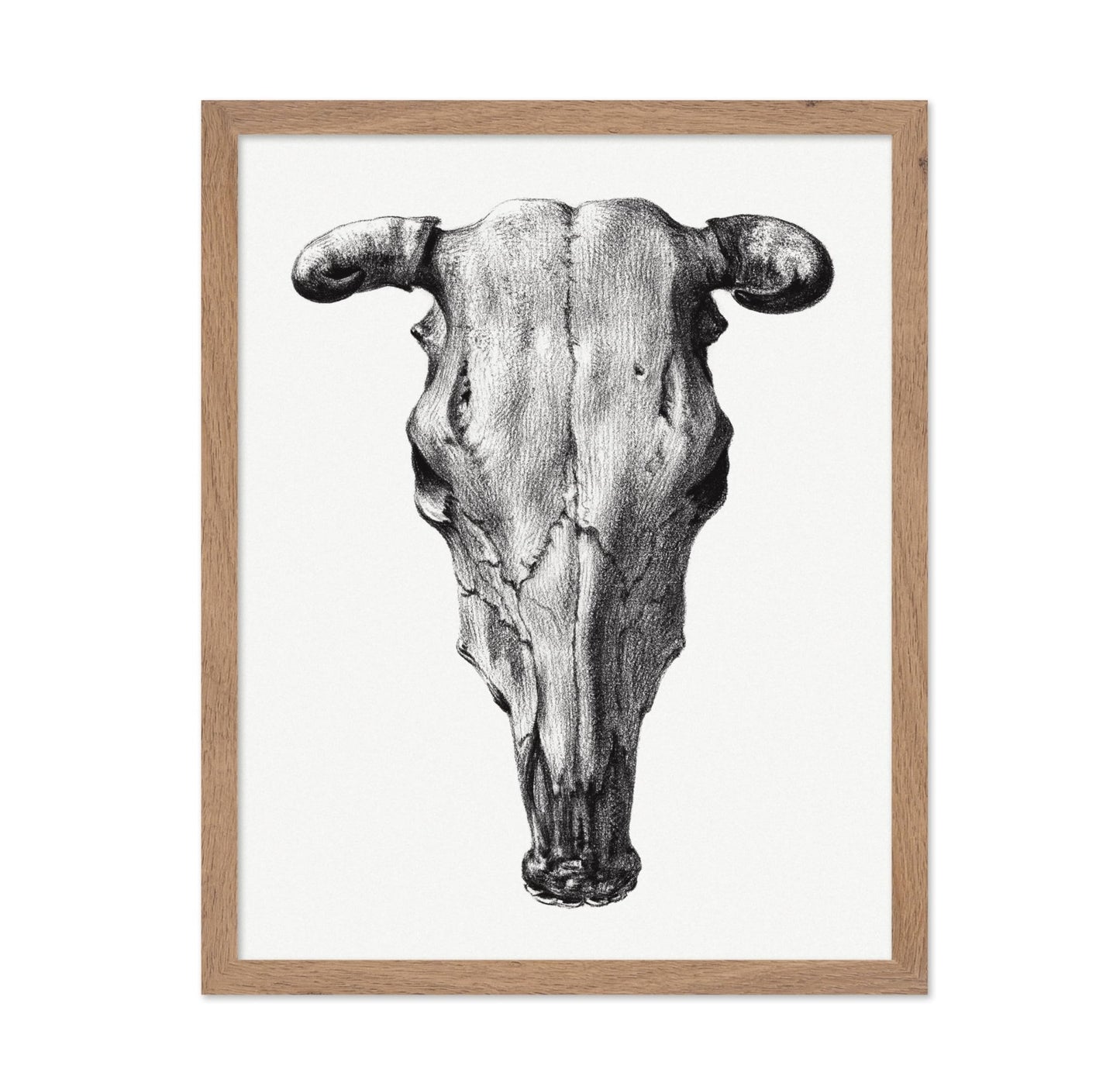 Cow Skull Portrait