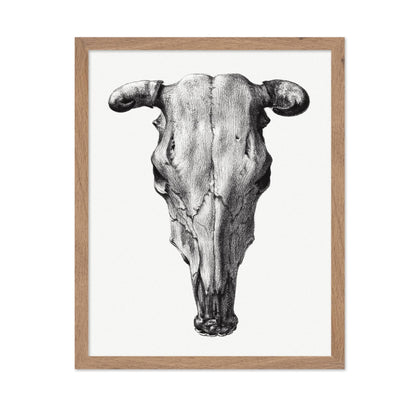 Cow Skull Portrait