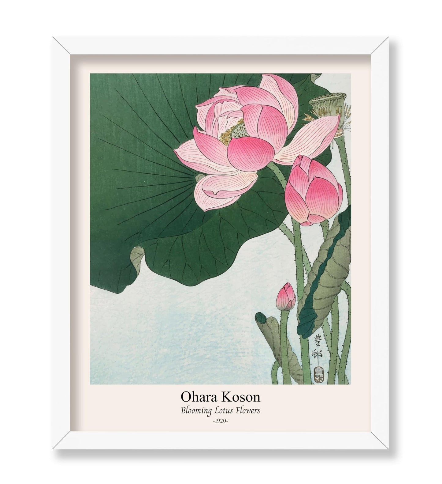 Ohara Koson - Blooming Lotus Flowers