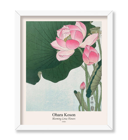 Ohara Koson - Blooming Lotus Flowers