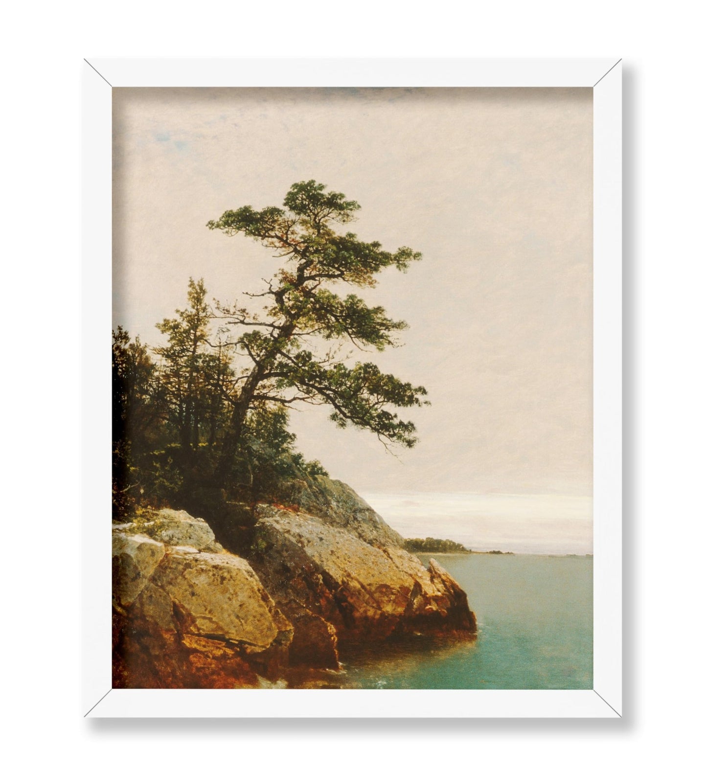The Old Pine