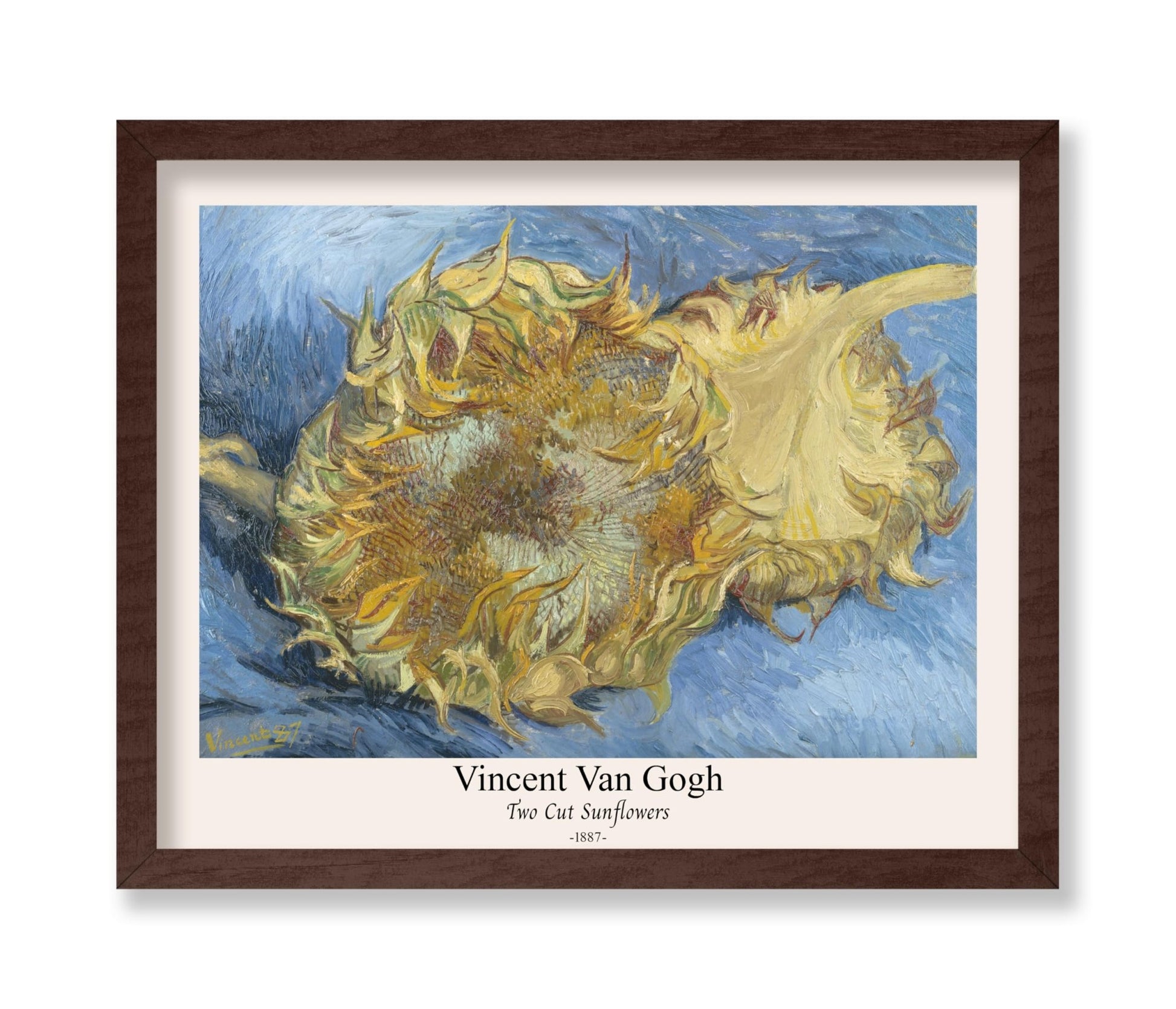 Van Gogh - Two Cut Sunflowers