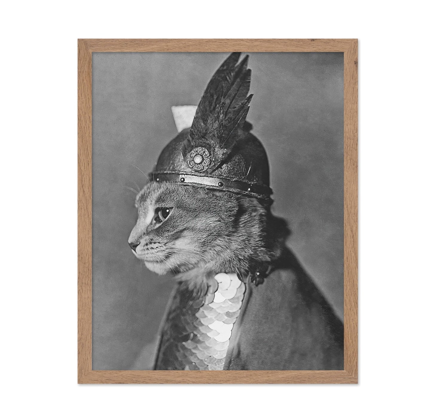 Brunnhilde The Cat