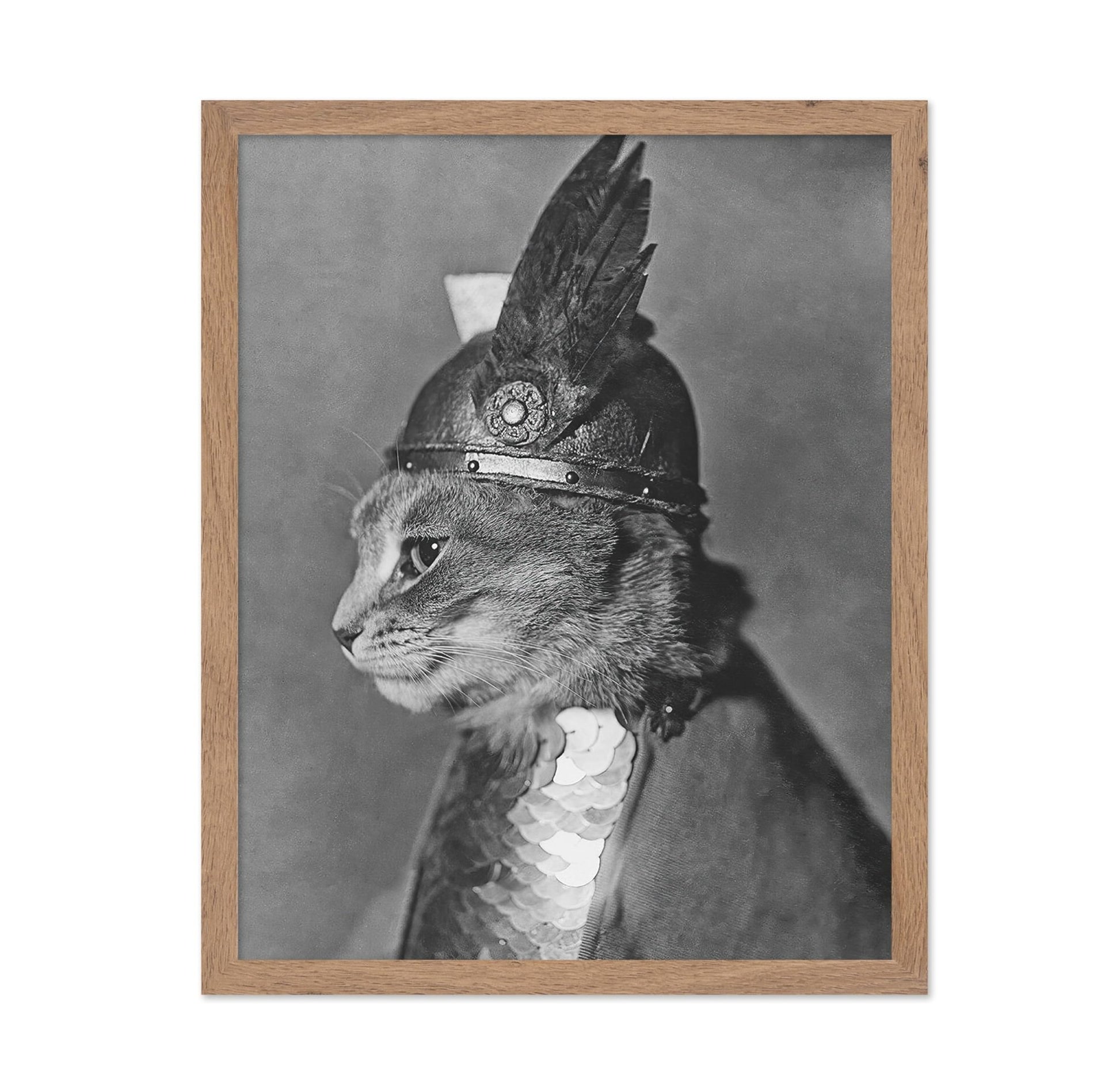 Brunnhilde The Cat