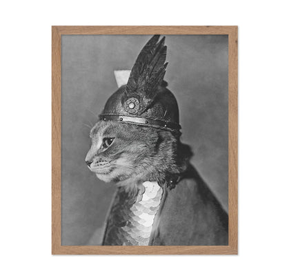 Brunnhilde The Cat