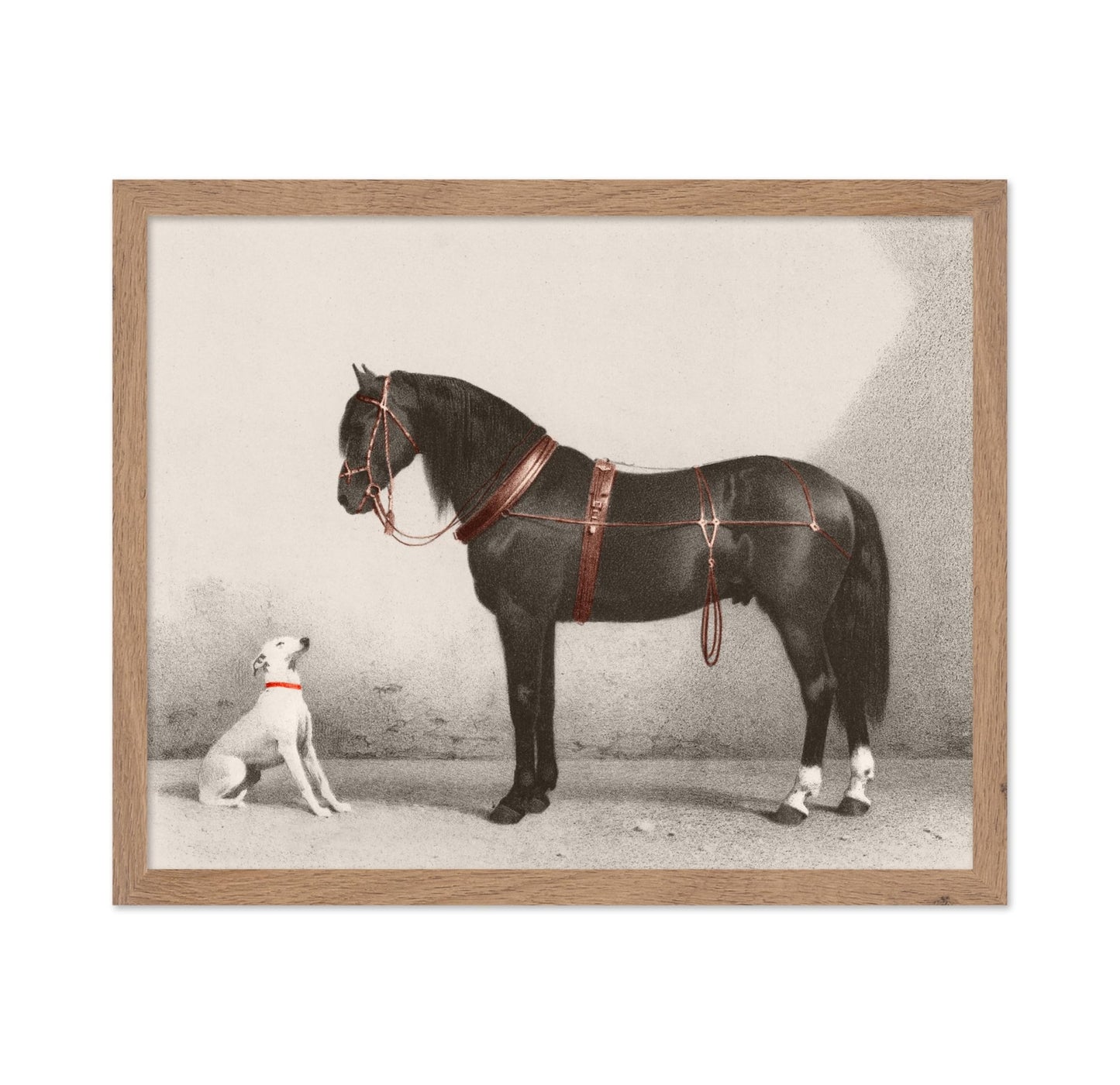 Horse and Dog