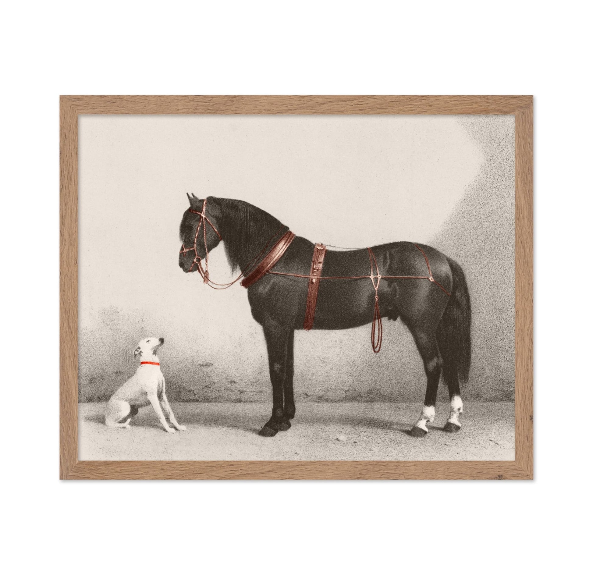Horse and Dog