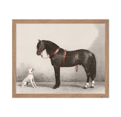 Horse and Dog