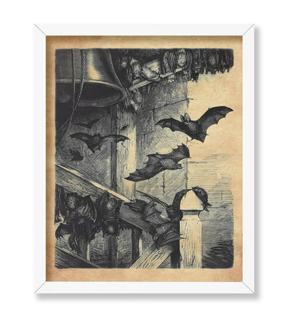Bats In The Belfry