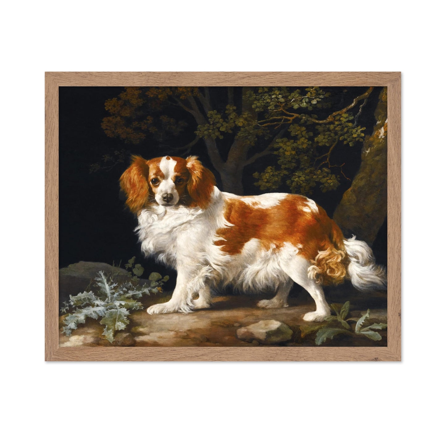 King Charles Spaniel in a Wooded Landscape