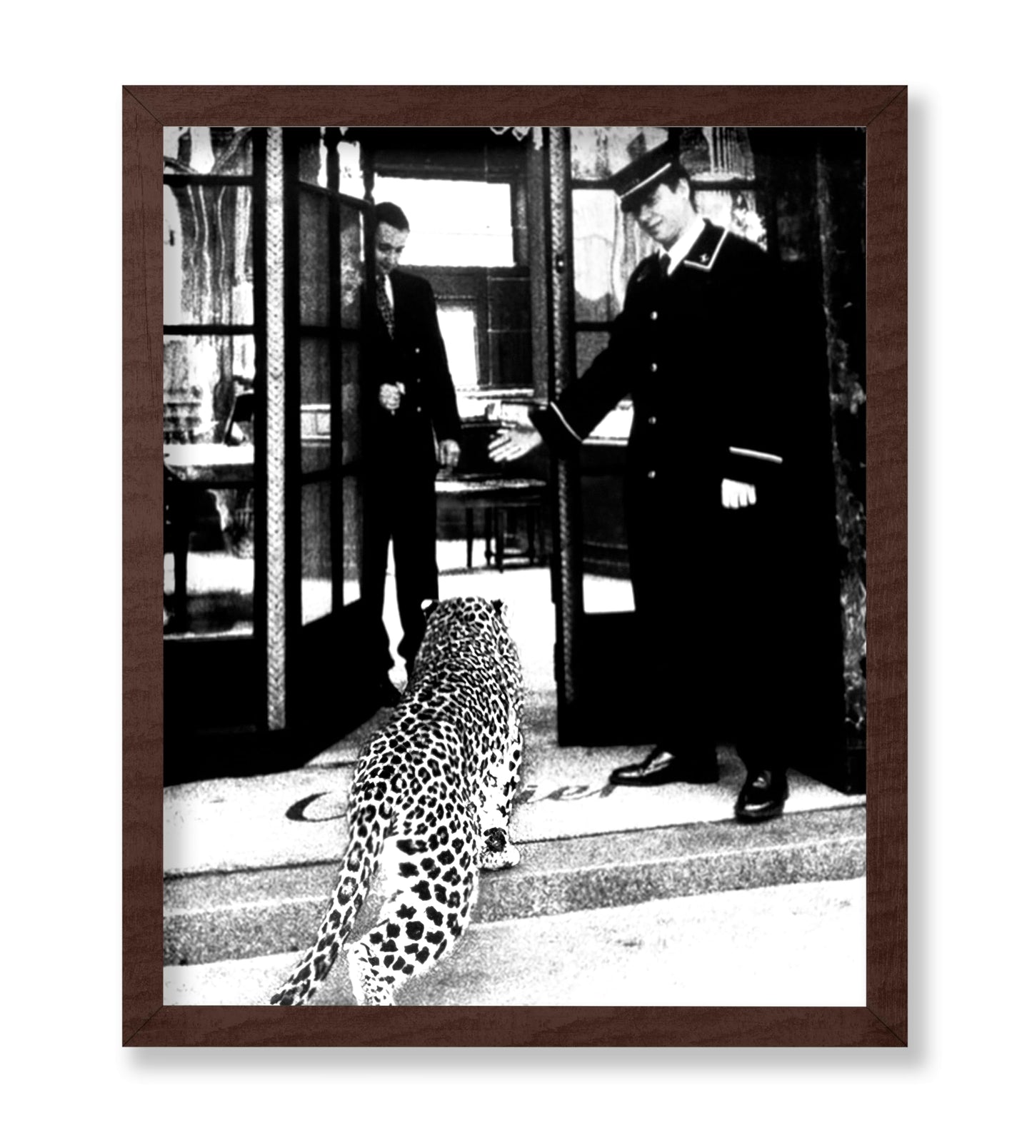 Panther in Fashion Boutique