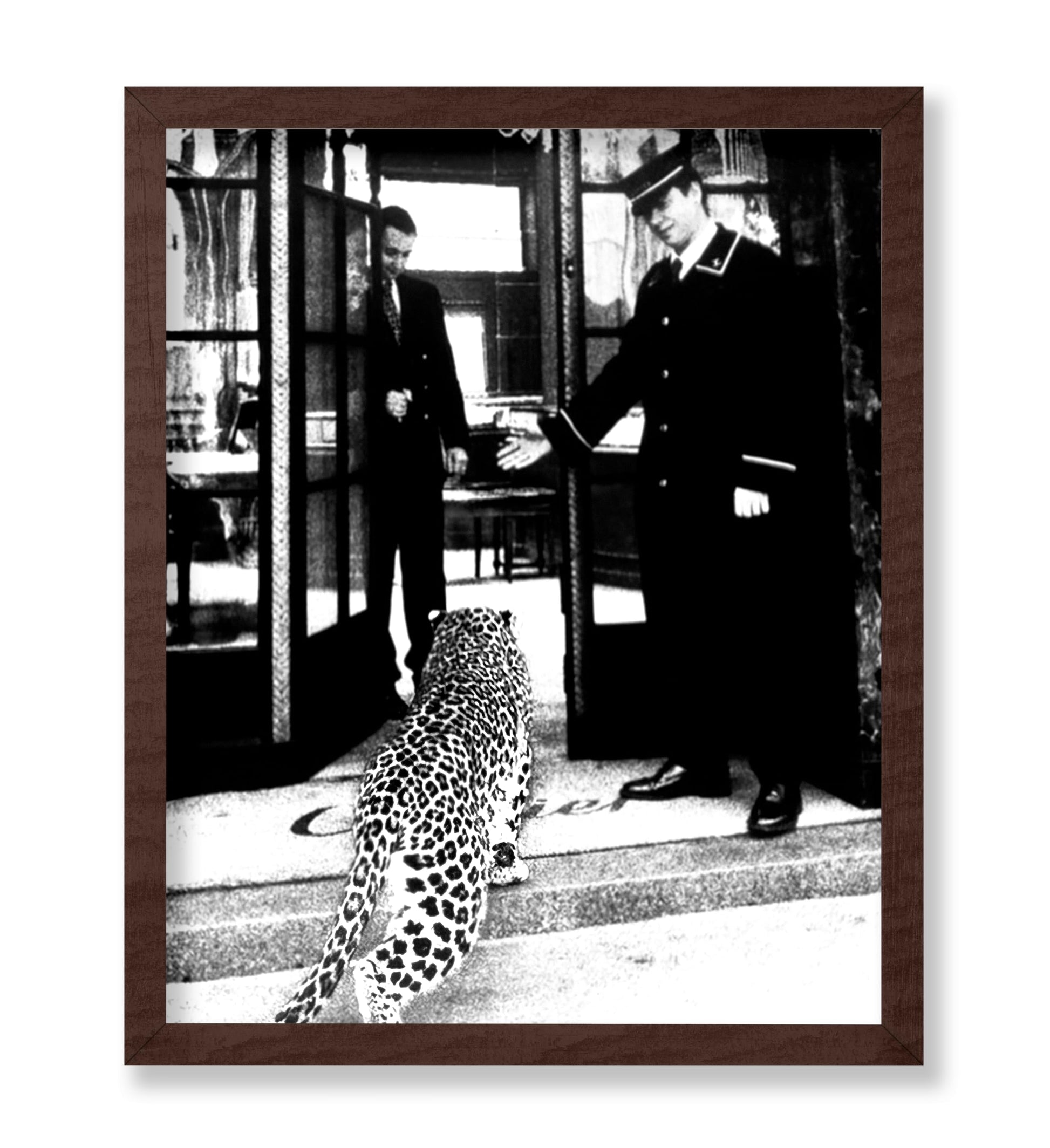 Panther in Fashion Boutique