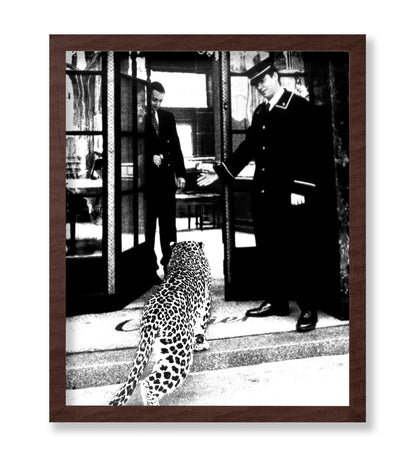 Panther in Fashion Boutique
