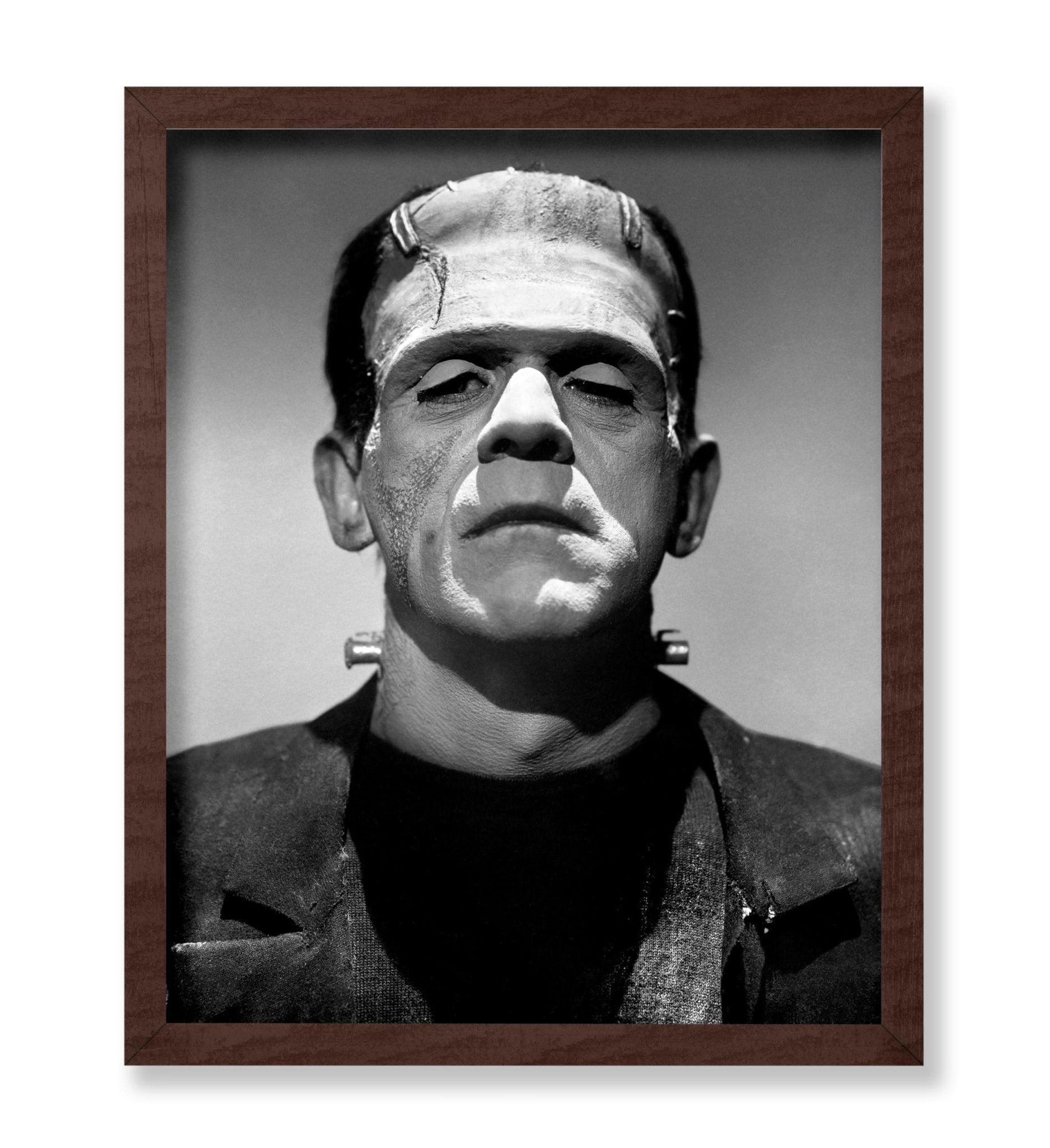 Frankenstein's Monster No1
