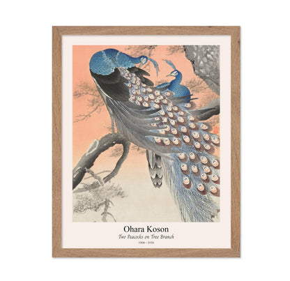 Ohara Koson - Two Peacocks No1