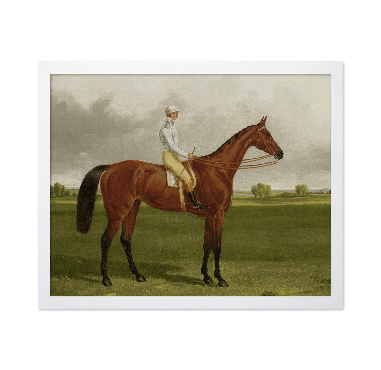 Racehorse with Jockey No3