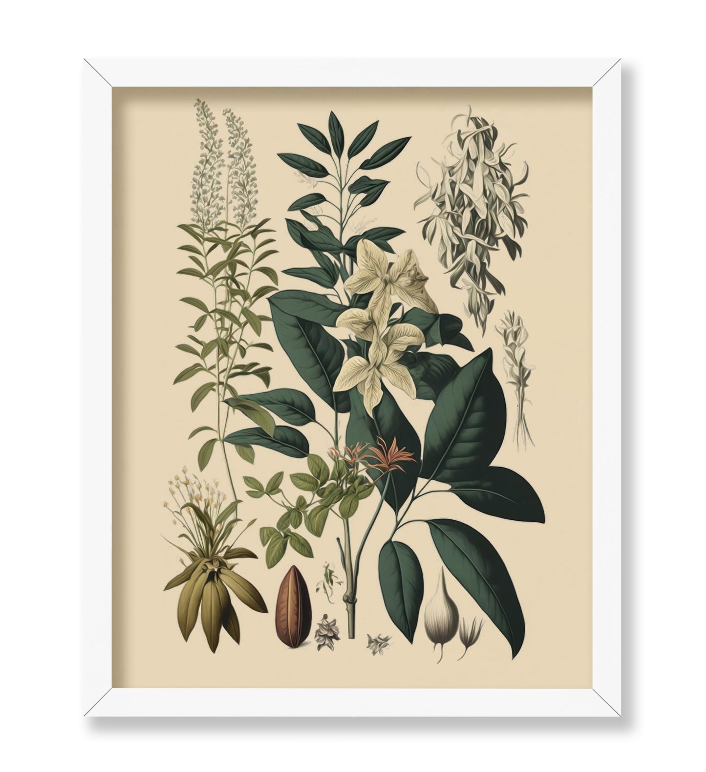 Wild Flower No1