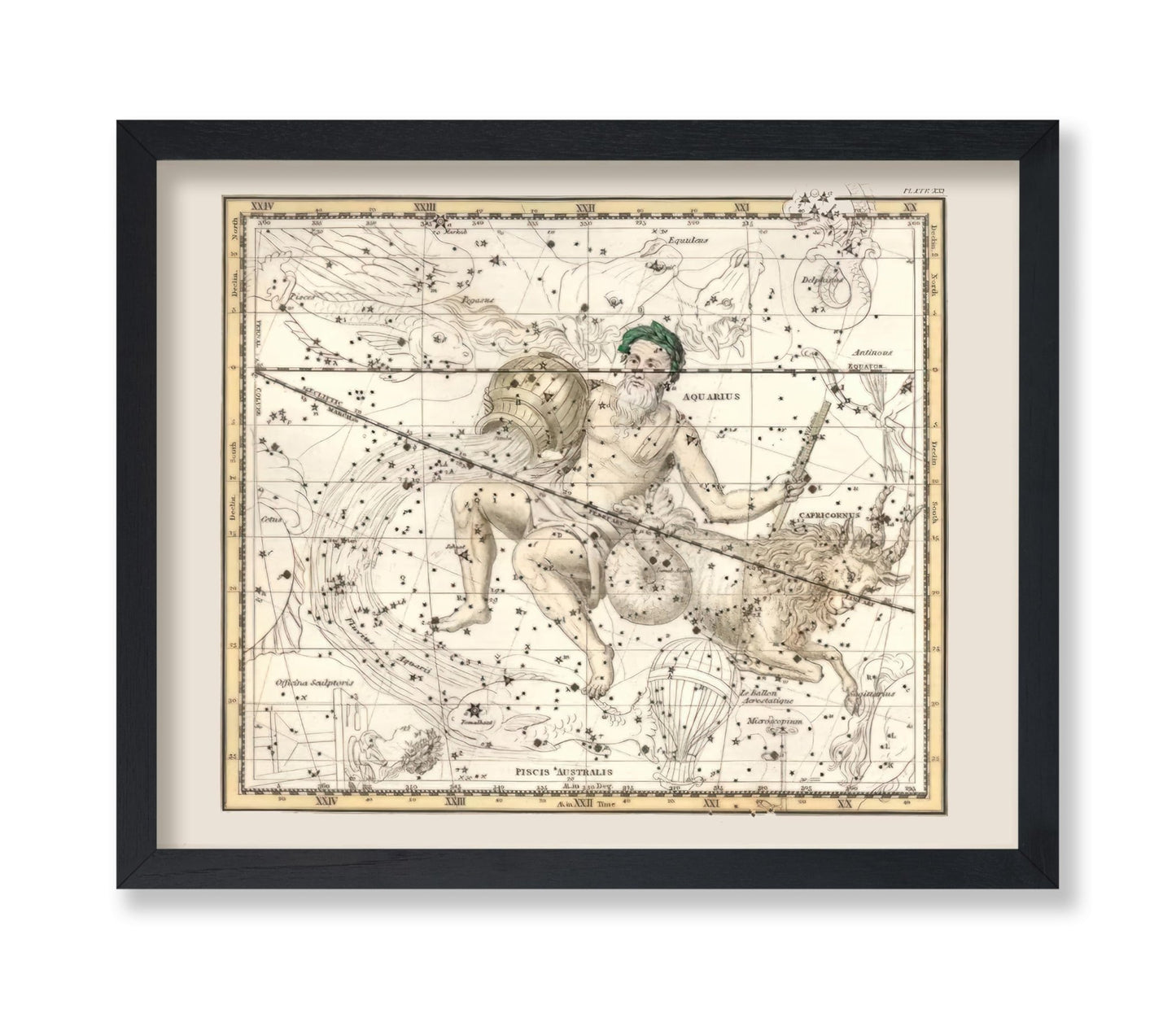 Capricorn & Aquarius Zodiac