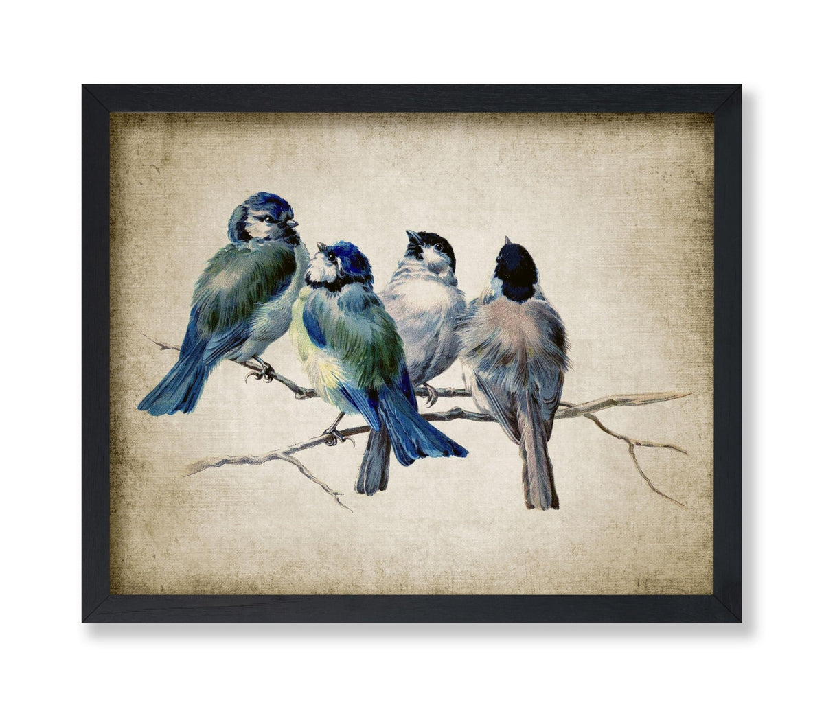 Blue Birds