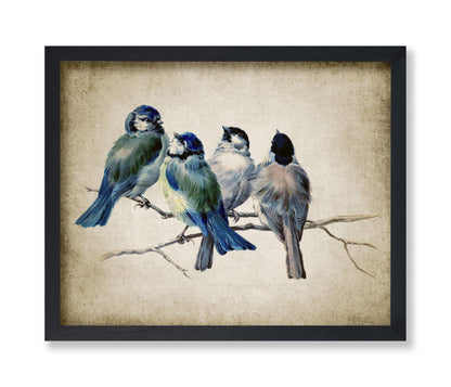 Blue Birds