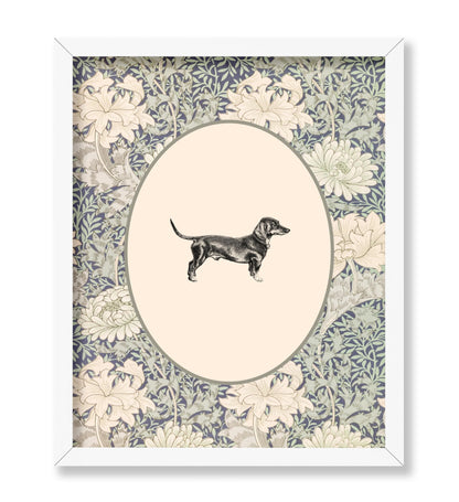 Dachshunds Portrait