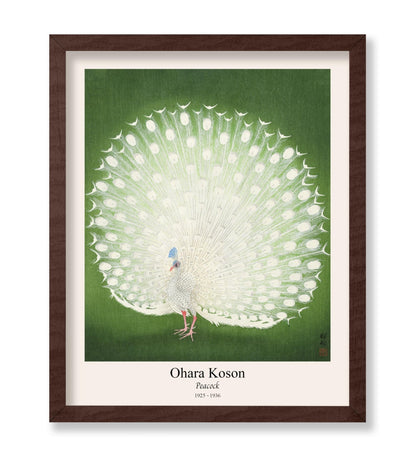 Ohara Koson - Peacock No2