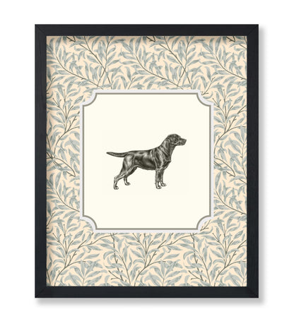 Dog Portrait No4