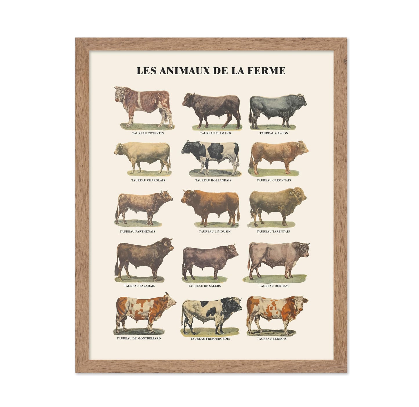Farm Animals