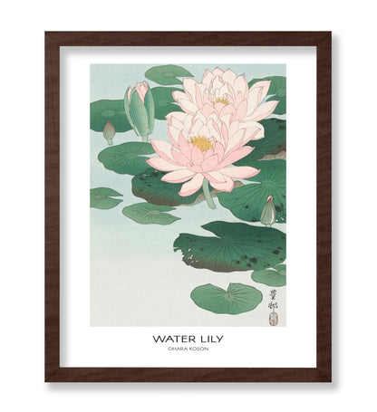 Ohara Koson - Water Lily No1