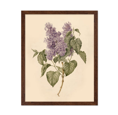 Branch with Purple Lilacs