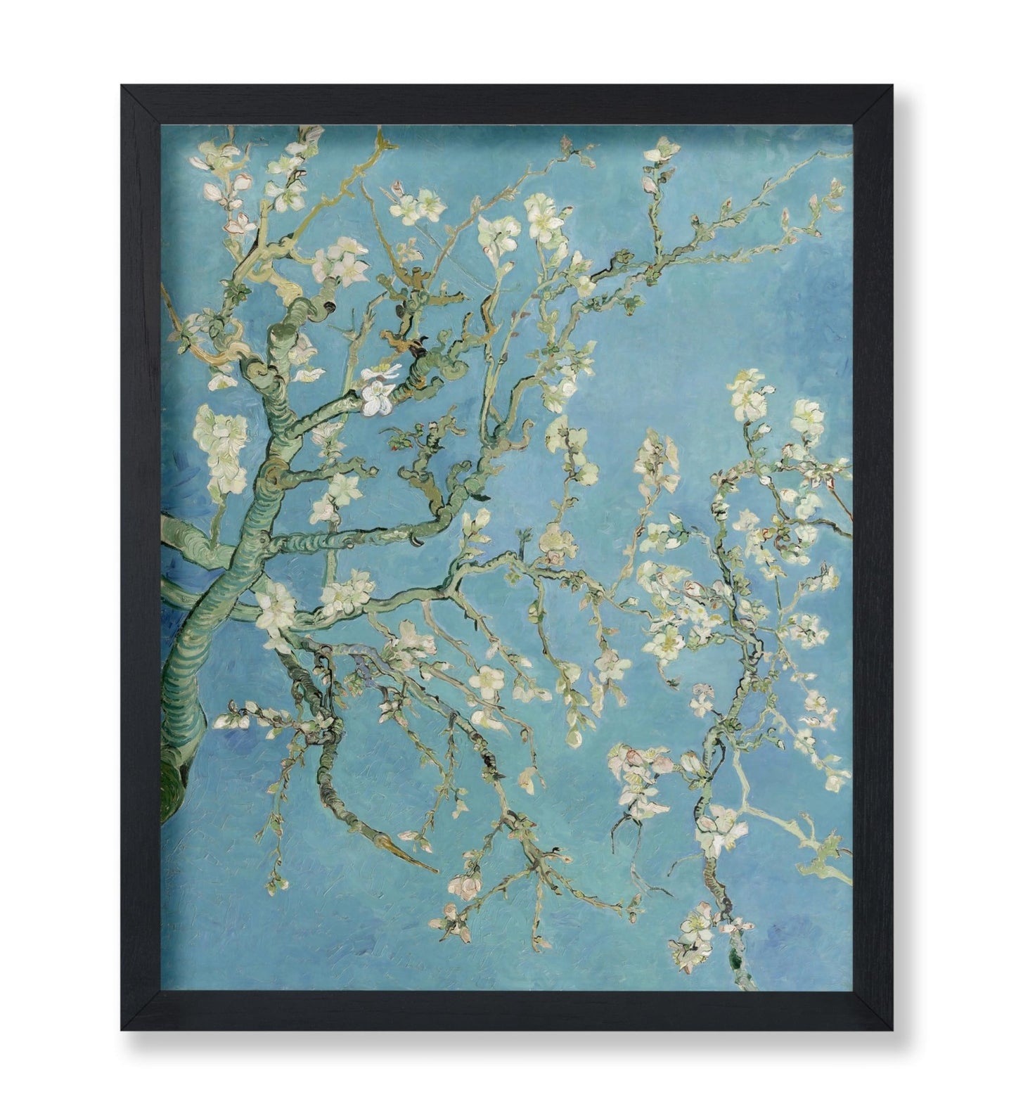 Van Gogh - Almond Blossoms Poster