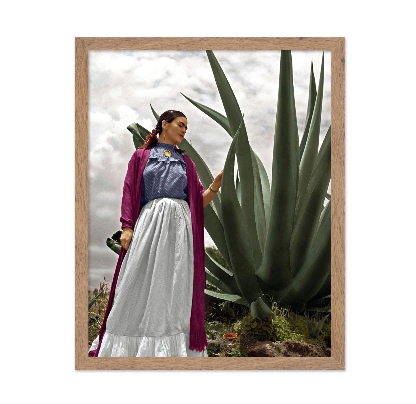 Frida Agave Plant