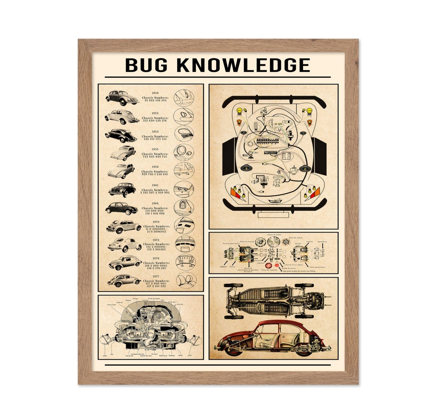 Bug Knowledge