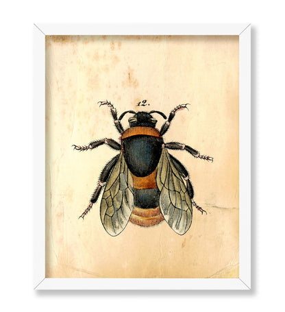 Bumblebee No1