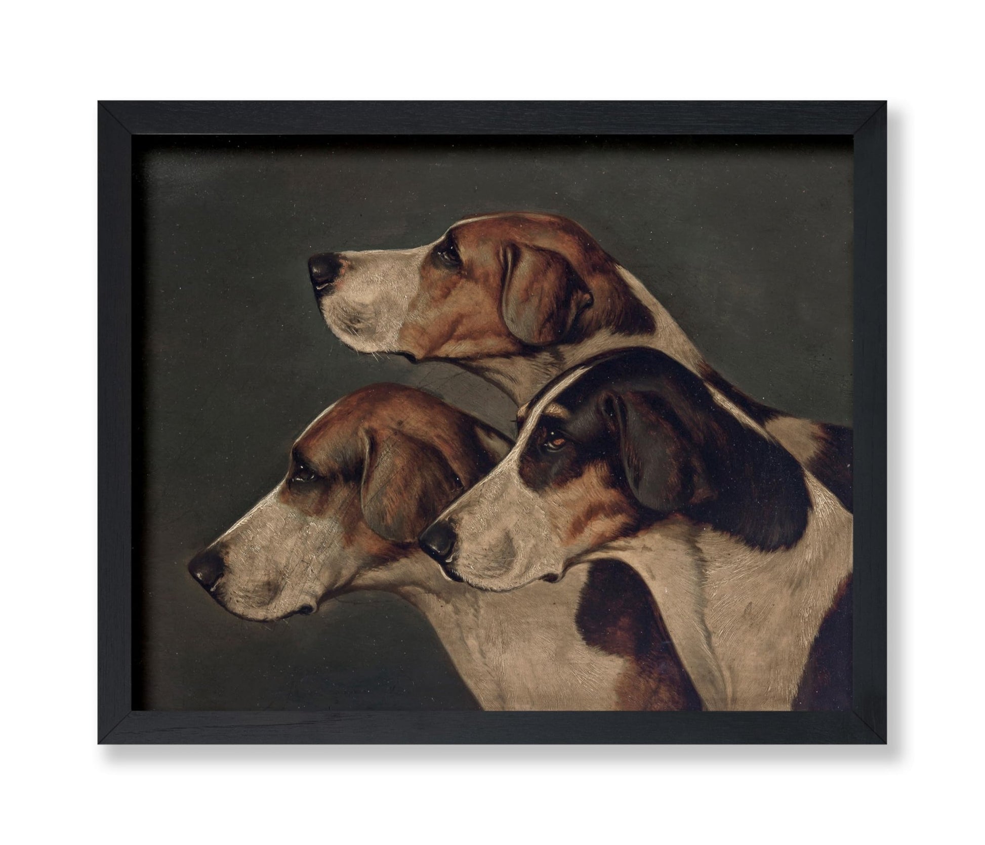 John Arnold Wheeler - Three English Foxhounds