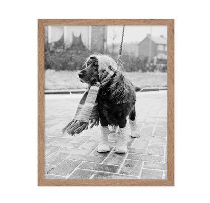 Dog Dressed for Winter