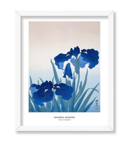Ohara Koson - Iris Flower