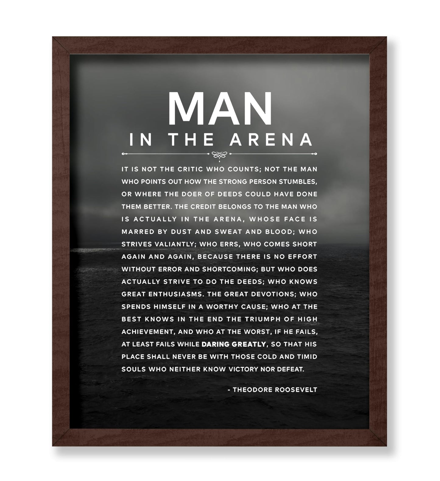 Theodore Roosevelt - Man In The Arena