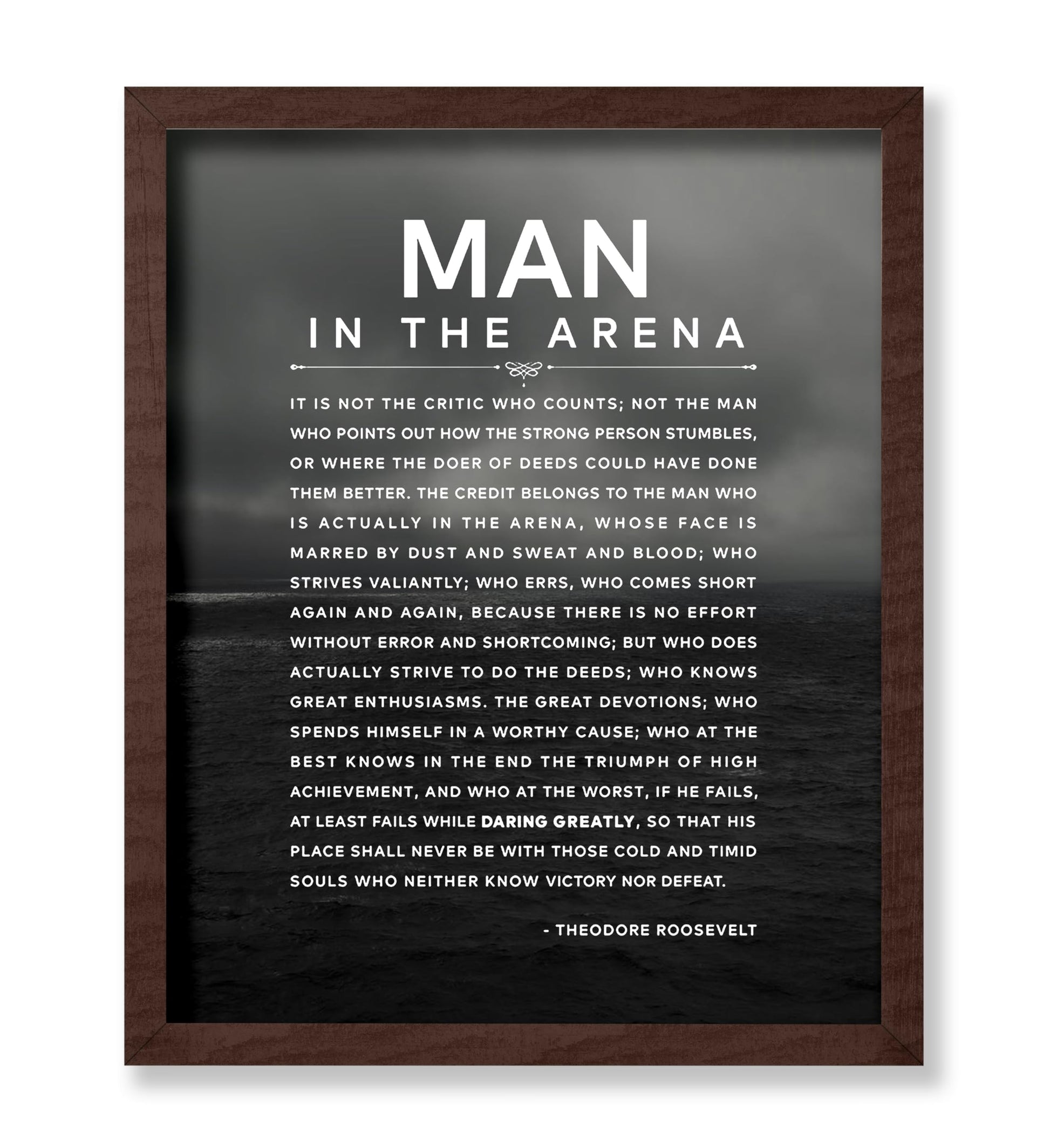 Theodore Roosevelt - Man In The Arena