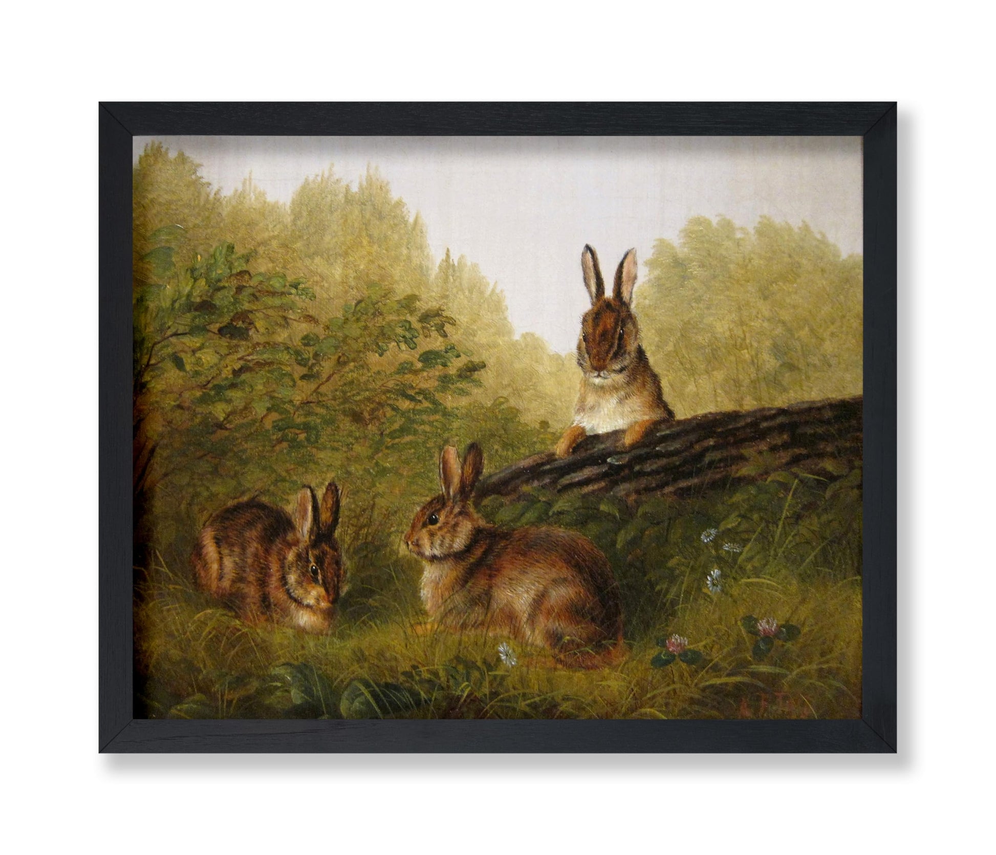 Rabbits on A Log