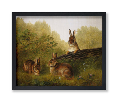 Rabbits on A Log