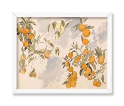 Oranges and Lemons