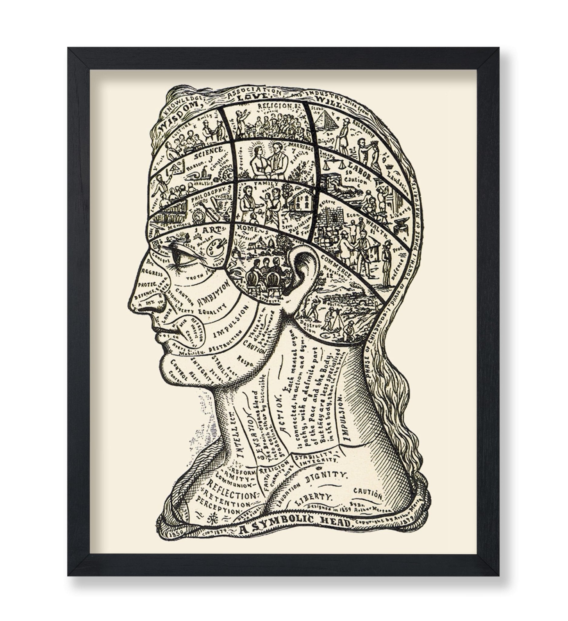 A Symbolic Head, Phrenology Diagram