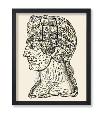 A Symbolic Head, Phrenology Diagram