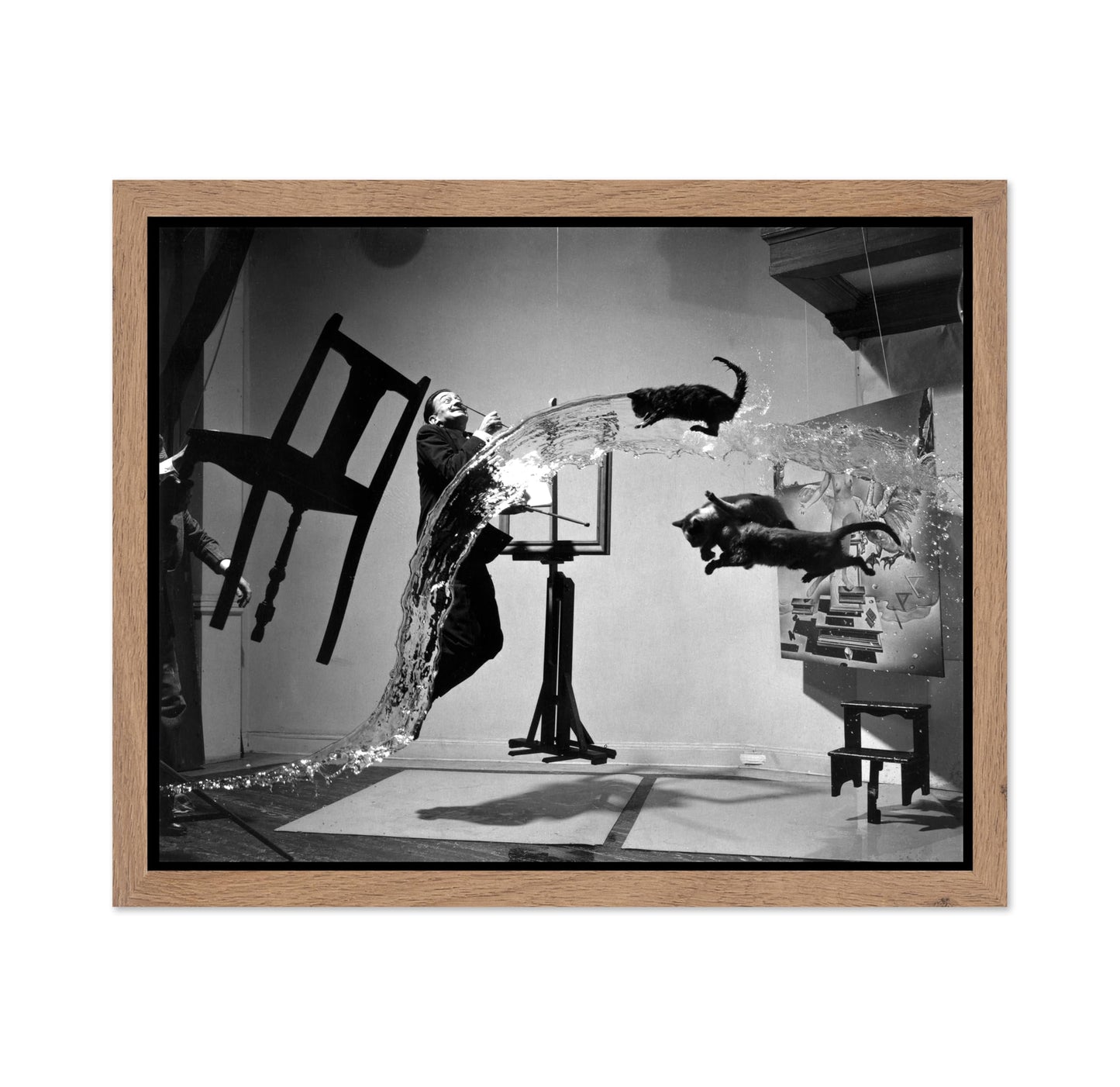 Salvador Dali Atomicus