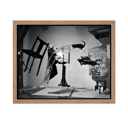 Salvador Dali Atomicus