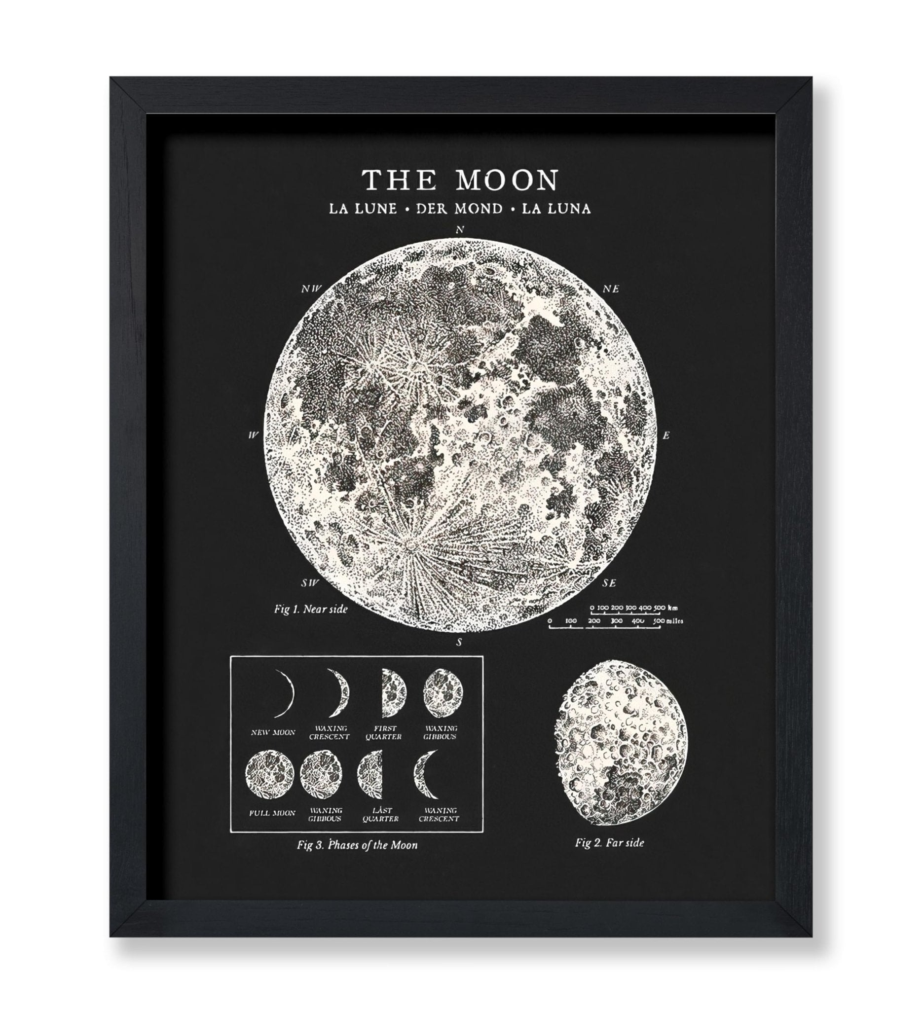 The Moon No3