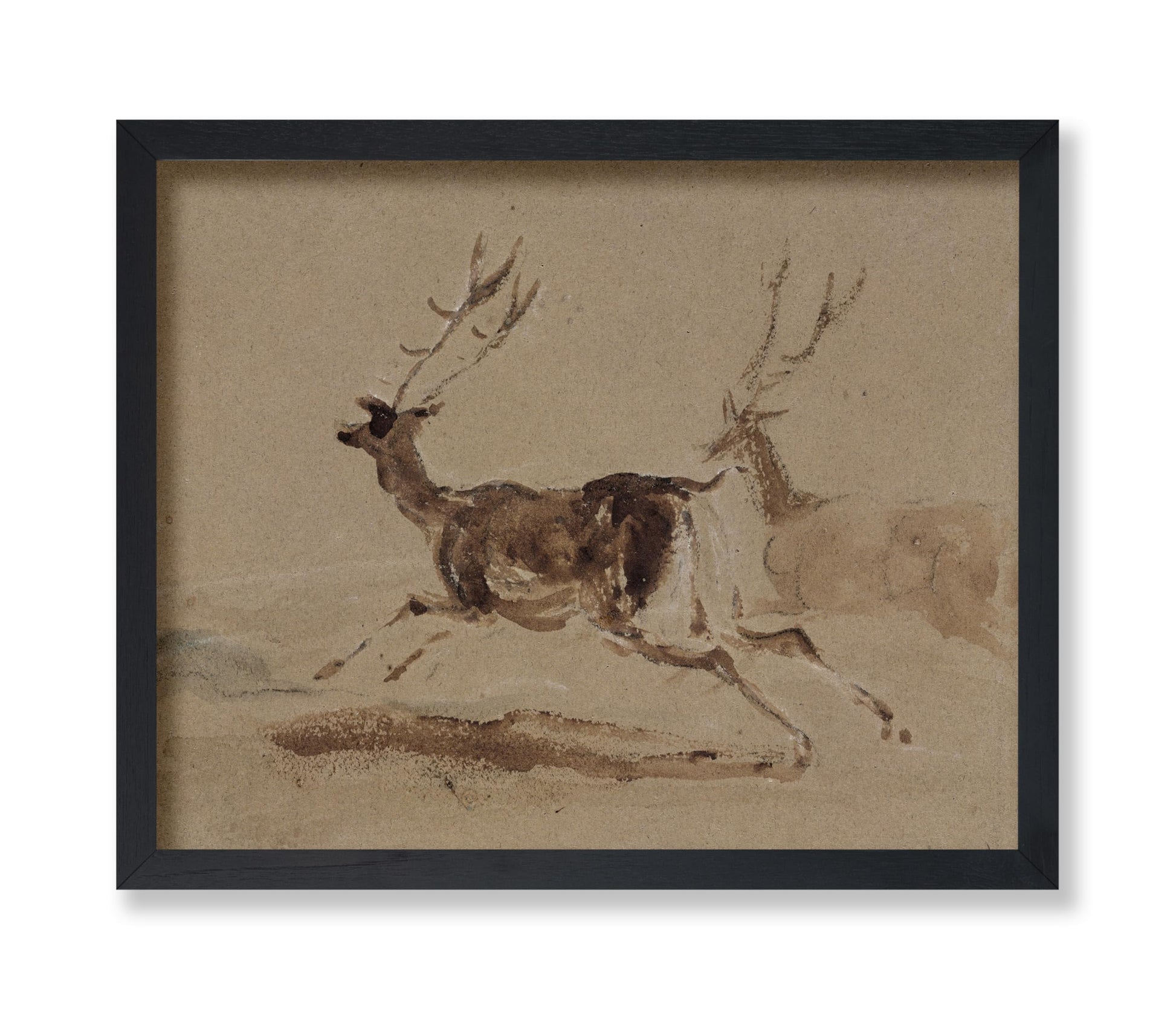 Two Stags Running